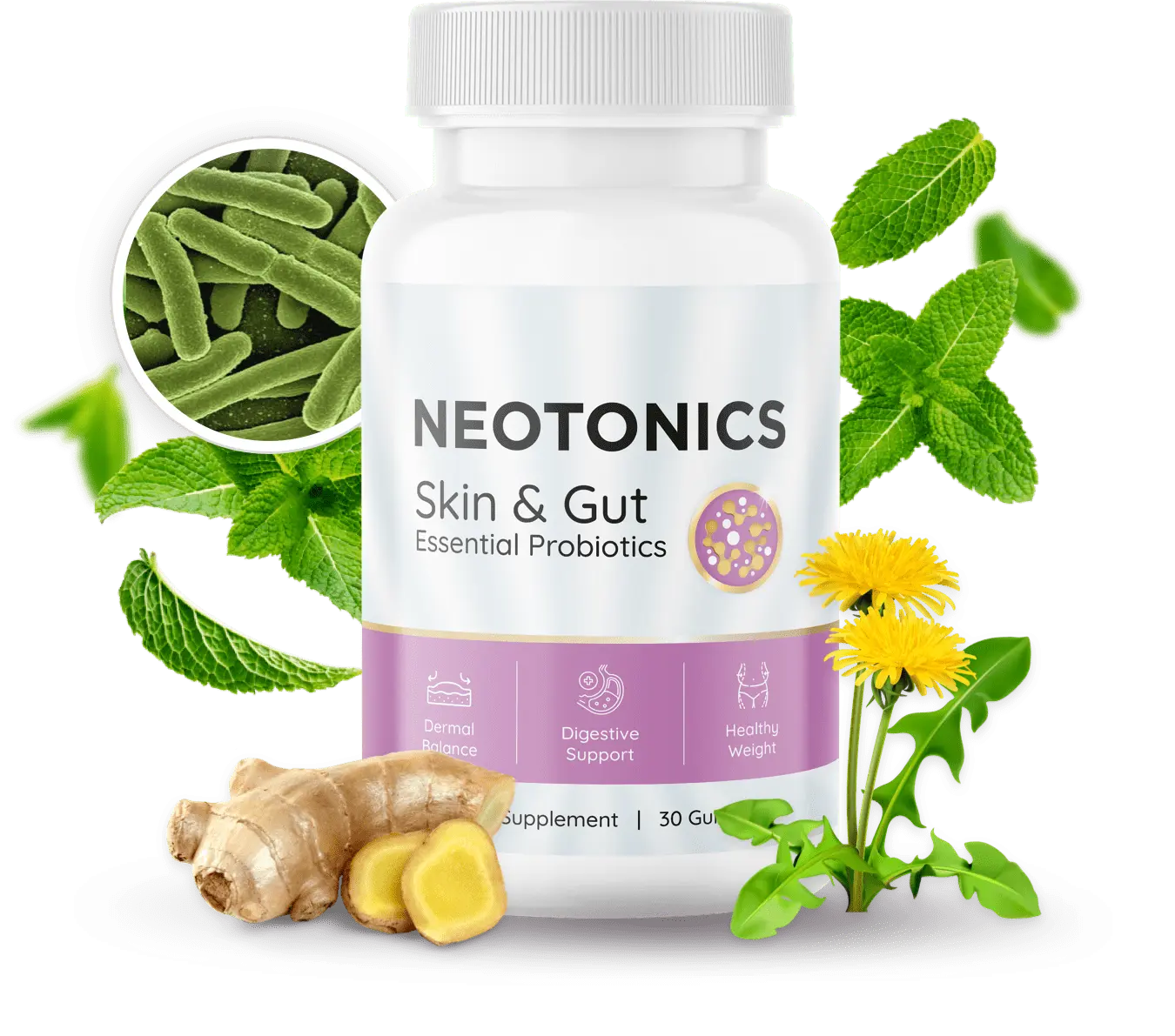 Neotonics probiotic gummy bottle with mint, ginger and dandelion ingredients